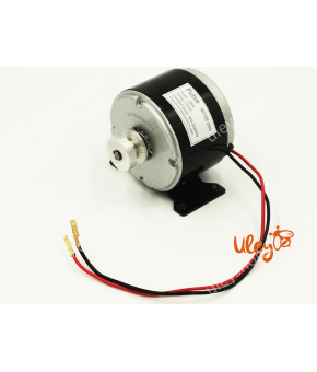 Електродвигун для медогонки, 300Вт, 12-24V Електродвигун для медогонки, 300Вт, 12-24V