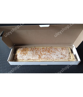 Коробка для стільникового меду (магазин 470х145) Коробка для стільникового меду (магазин 470х145)