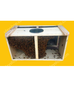 Безсотовий бджолопакет, Карпатка Безсотовий бджолопакет, Карпатка