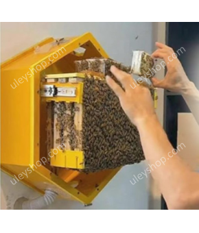 Домашній оглядовий вулик Домашній оглядовий вулик